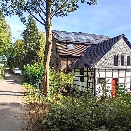 Feierabend Im Gruenen Apartamento Haan Exterior foto